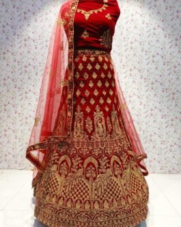Indian Lehenga 4007